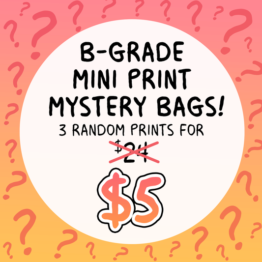 B-Grade Mini Print Mystery Bag